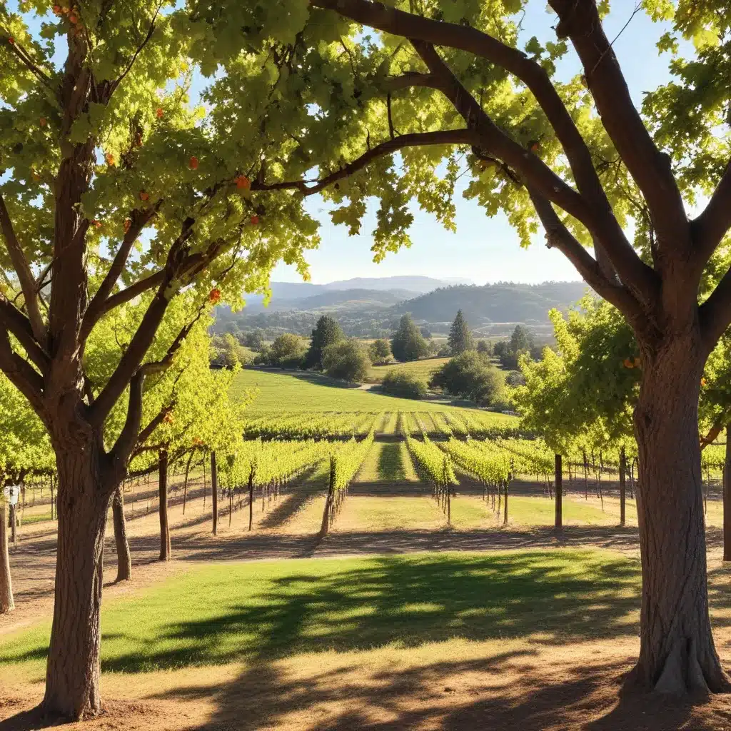 Exploring the Vibrant Flavors of California Wine Country: A Tasting Journey